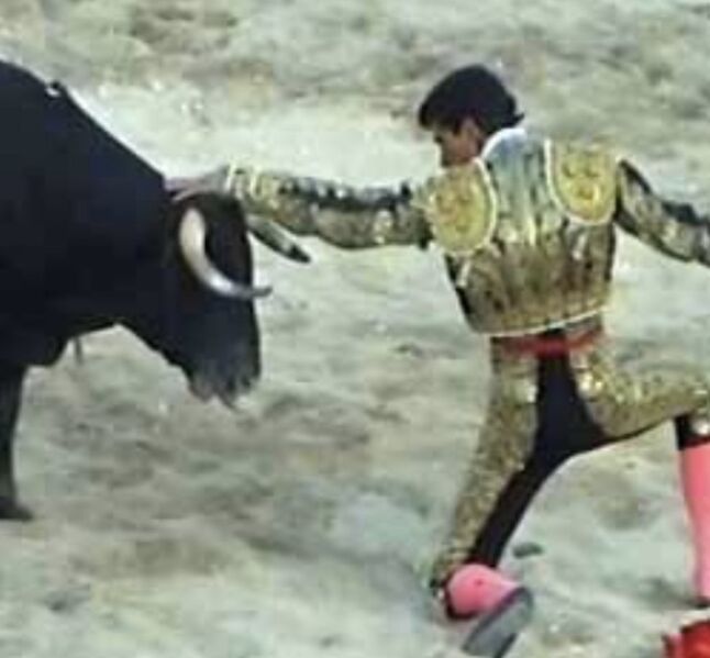 Ficheiro:David Ferreira F12.jpeg