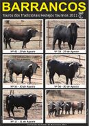 Barrancos CurroTouros 2011.jpg