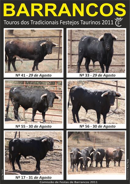 Ficheiro:Barrancos CurroTouros 2011.jpg