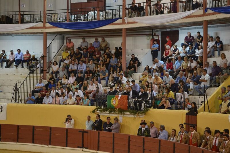 Ficheiro:Chamusca F7.JPG