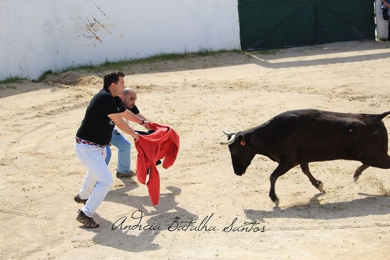 Ficheiro:UTA F5.jpg