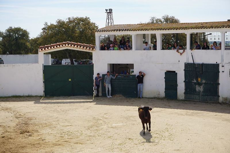 Ficheiro:UTA F32.jpg