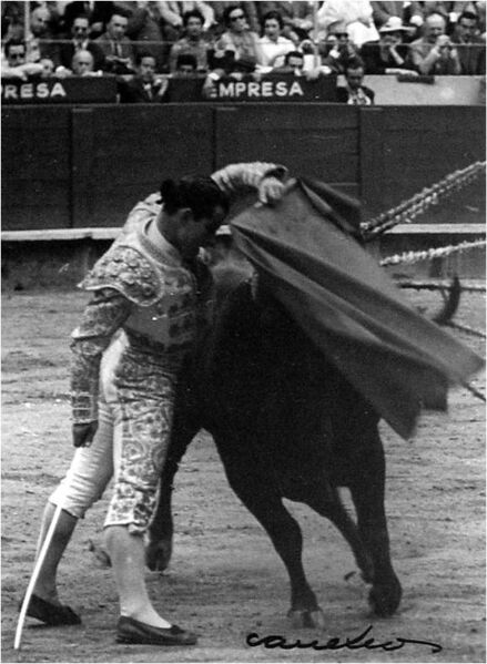 Ficheiro:PACO F15.jpg