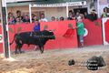 Forcados D'Inverno F16.jpg