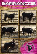 Barrancos CurroTouros 2013.jpg