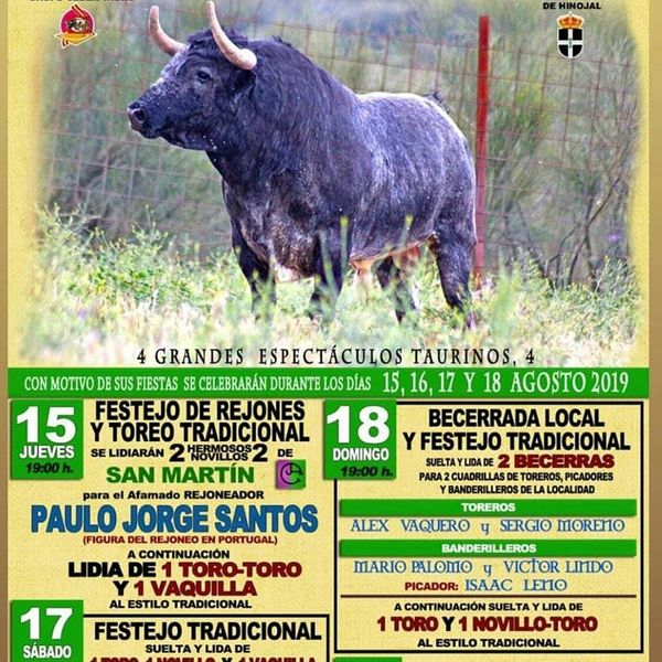 Ficheiro:Cartaz 0098.jpg