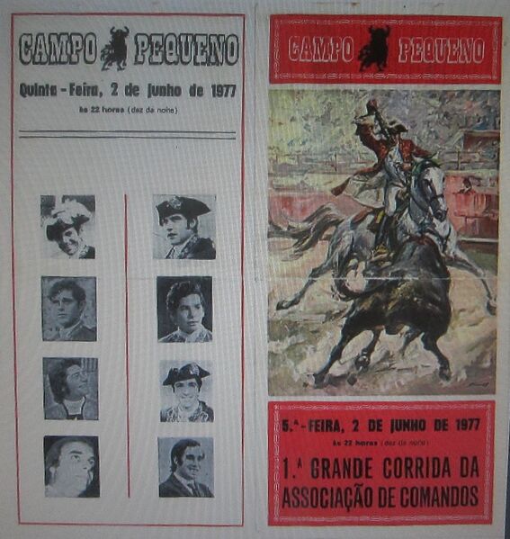 Ficheiro:IMG 2220.JPG