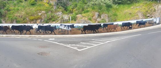 Mural-Taurino RotundaFPretas-JFSP AH 2019.jpg