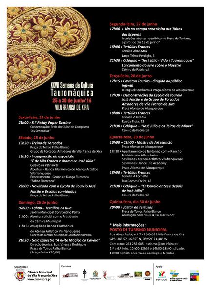 Ficheiro:Programa SCT VFX 2016.jpg