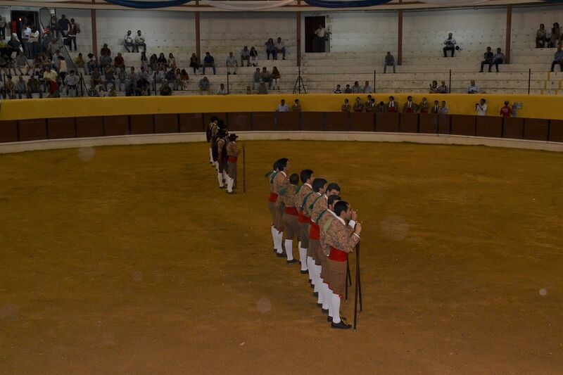 Ficheiro:Chamusca F4.JPG