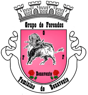 Grupo de Forcados Feminino de Benavente.jpg