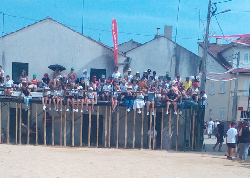 Ficheiro:CapeiaAldeiaVelha 20190825 151747.png