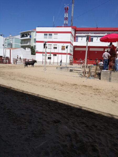 Ficheiro:FeiraMaioAzambuja 20190602 115246.jpg