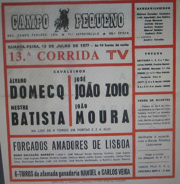 Ficheiro:IMG 2221.JPG