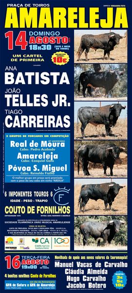 Ficheiro:Cartaz 0263.jpg