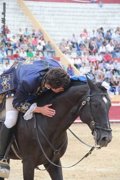 Ficheiro:Duarte Pinto F31.jpg