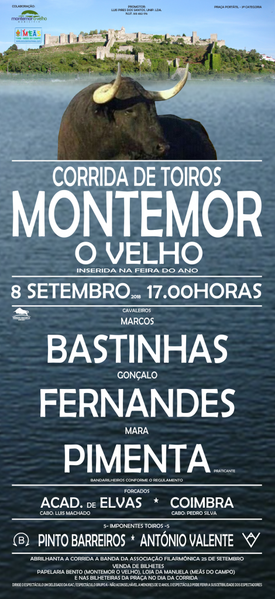 Ficheiro:Montemor-o-Velho 8Setembro2018.png