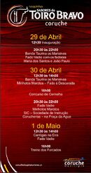 SaboresToiroBravo 2011.jpg